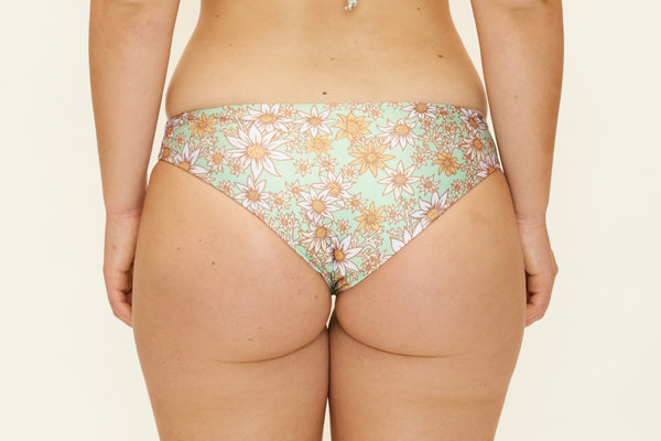 Jaki Bottoms – Flannel Flower