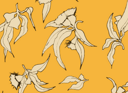 Opal Bottoms - Sunburnt Yellow Eucalyptus