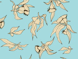 Opal Bottoms - Powder Blue Eucalyptus